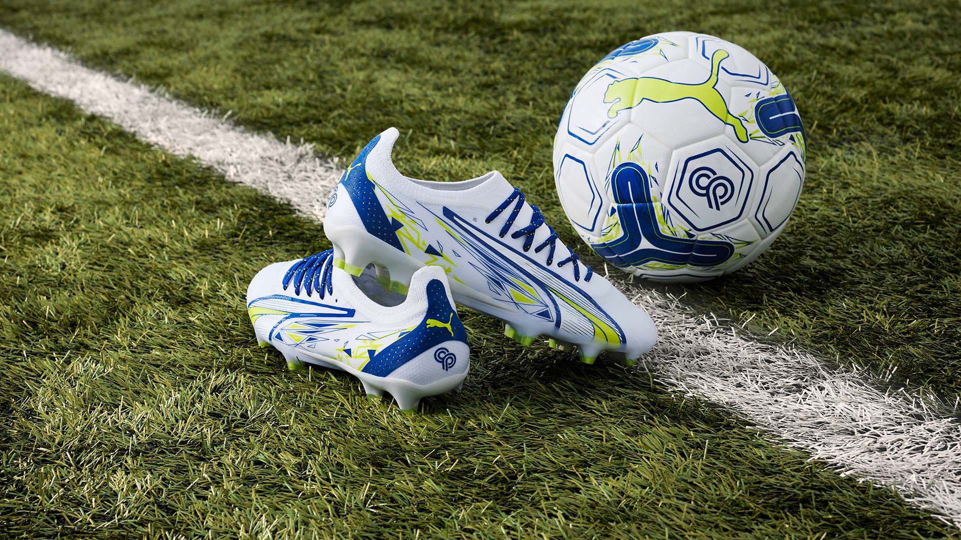 已经让世界 已经让世界